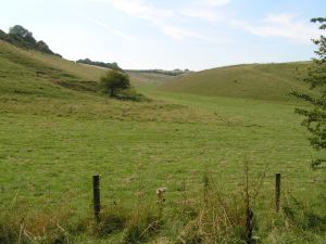 Church Bottom on 3rd September 2005