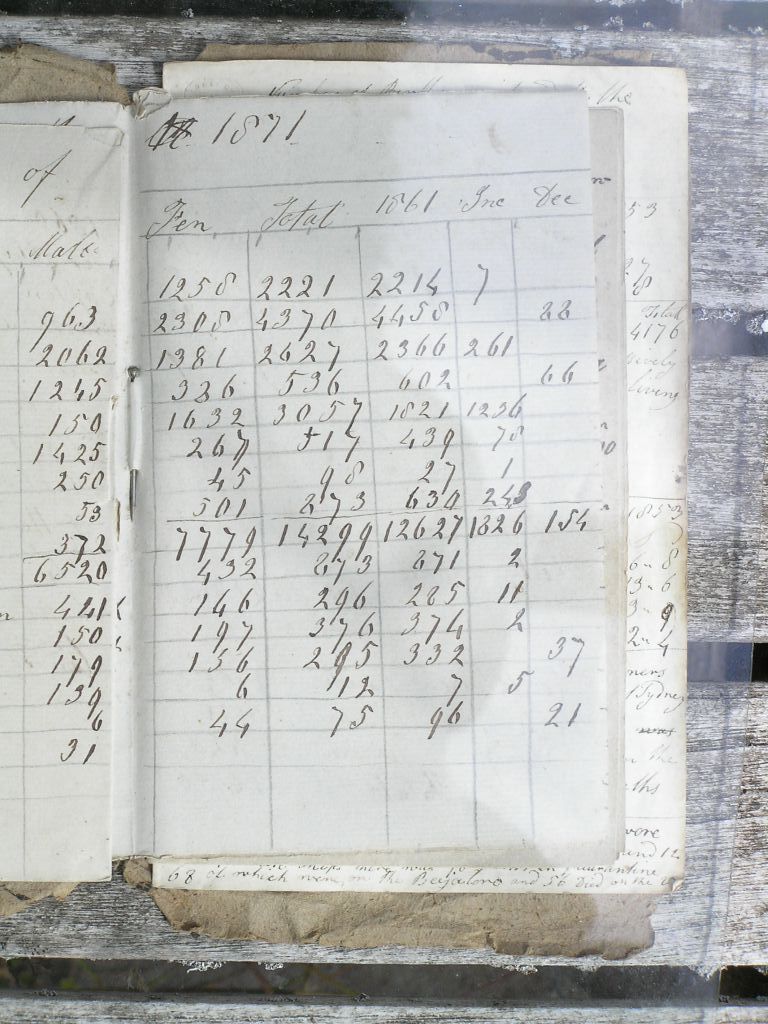 Burrough Diary: 1871 Census 2