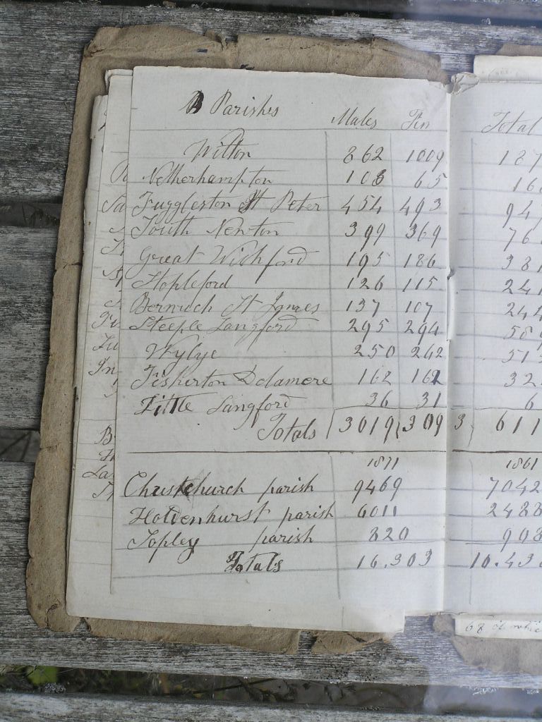 Burrough Diary: 1871 Census 3