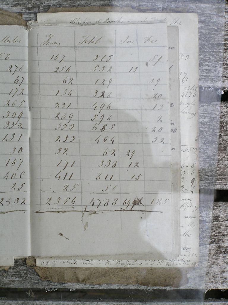 Burrough Diary: 1871 Census 6