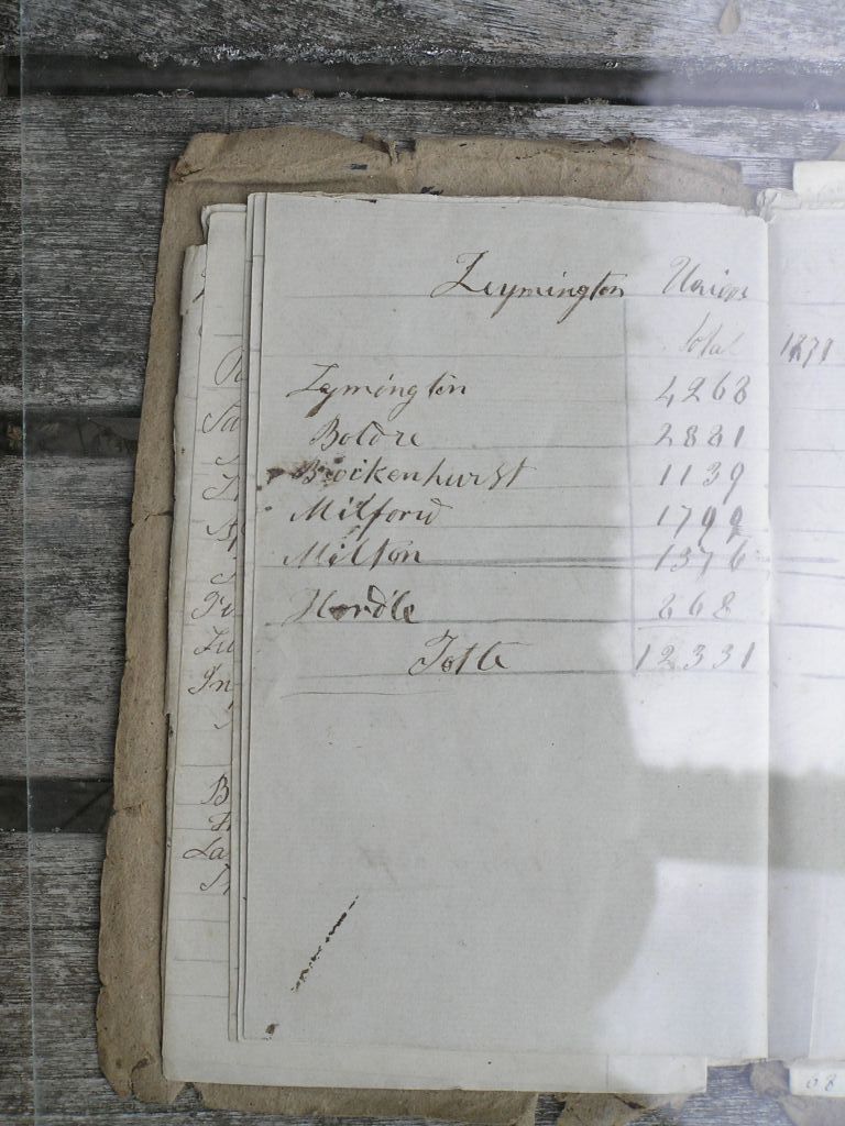 Burrough Diary: 1871 Census 7