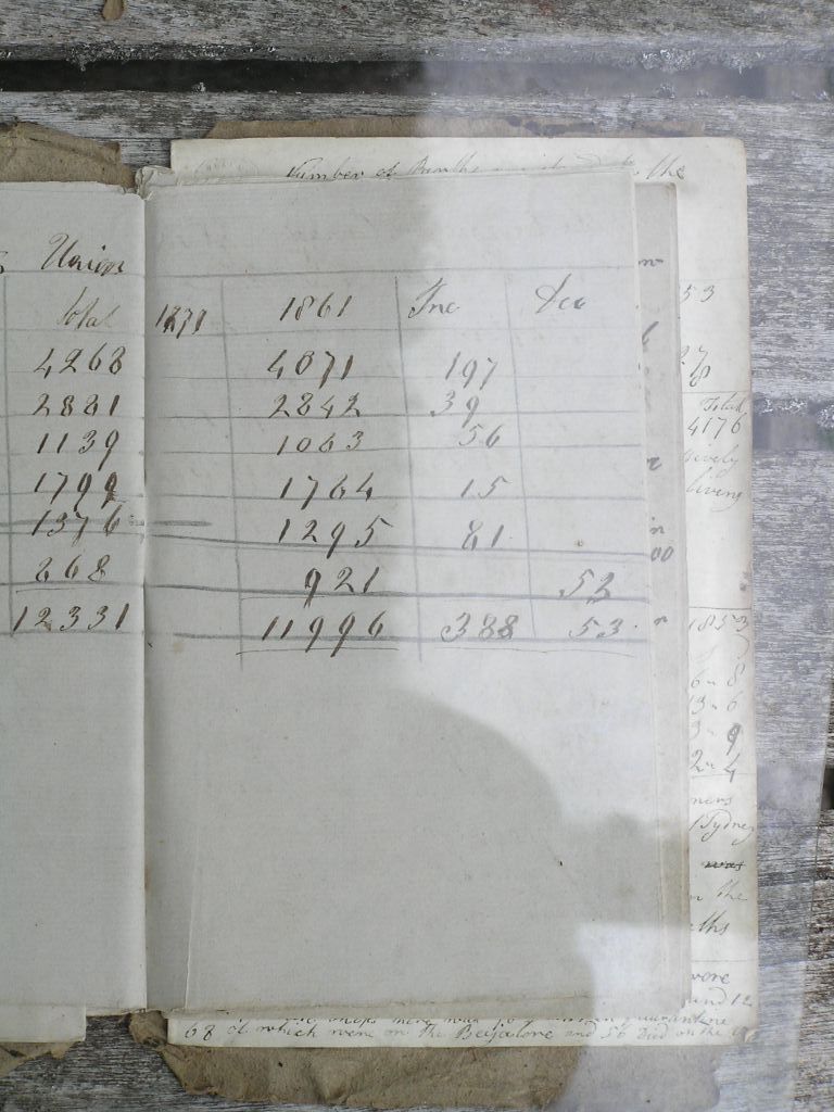 Burrough Diary: 1871 Census 8