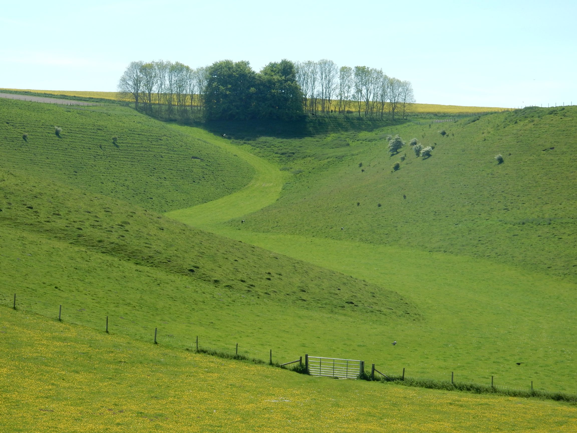 Church Bottom on 13th May 2019