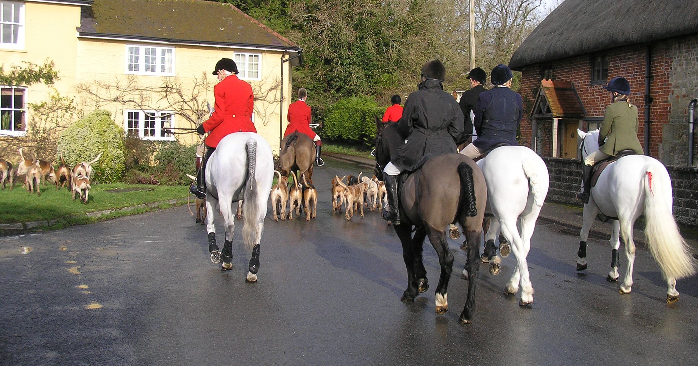 Hunt going back to the farm on 31st January 2026
